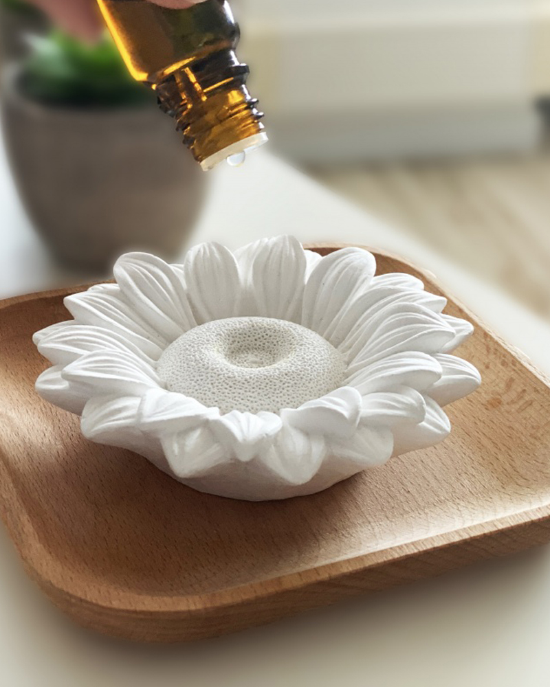 ASTELIA Diffusore passivo in gesso per oli essenziali